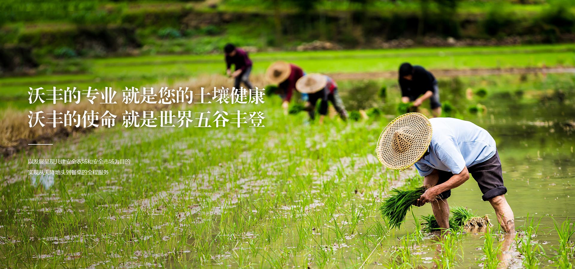 五原县沃丰生物科技有限公司