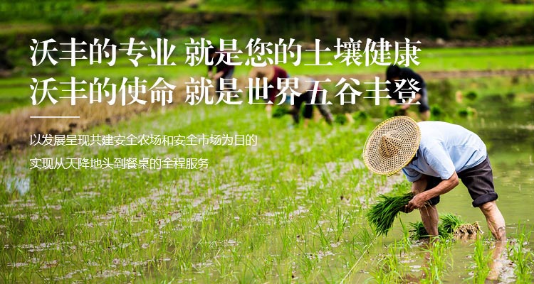 五原县沃丰生物科技有限公司