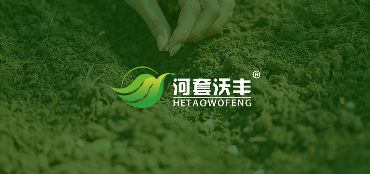 文明上网自律公约