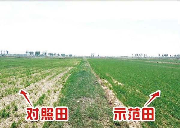 未标题-1.jpg